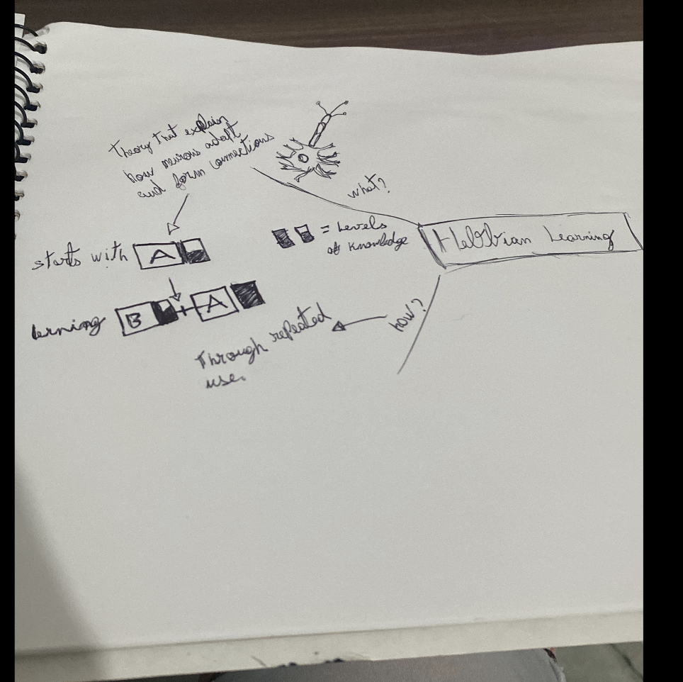 hobbian_learning_img.png